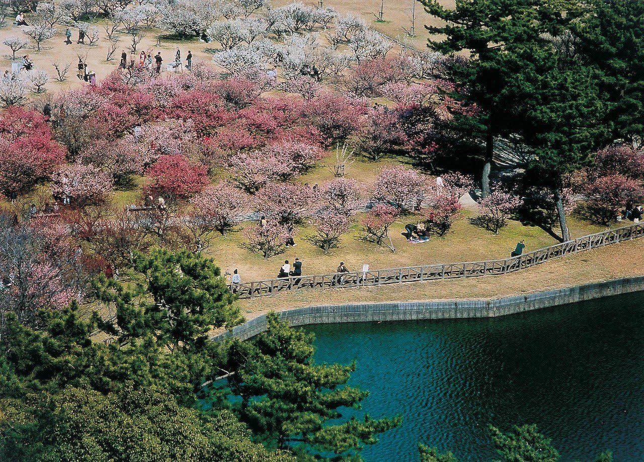 🏞️ 릉난 공원(료난코엔) 이미지 5